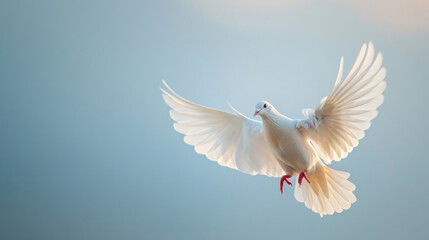 Dove's flight symbolizing peace, against the sky