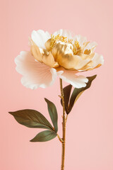 Yellow peony flower soft elegant vertical background, card template