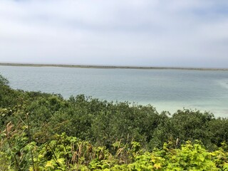 landscape with a lake