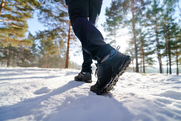 Fototapeta na wymiar Person walking in winter forest 
