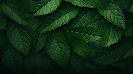 Green leaves background, showcasing nature's freshness and growth, generative AI