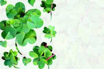 クローバーのポストカード