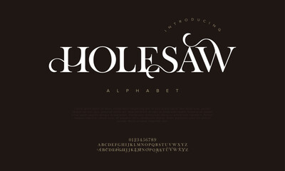 Holesaw premium luxury elegant alphabet letters and numbers. Elegant wedding typography classic serif font decorative vintage retro. Creative vector illustration