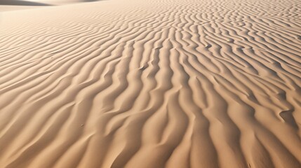 Dry sandy soil in a desert landscape.
