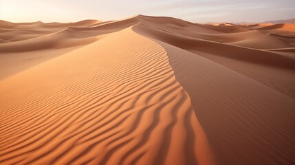 Fototapeta na wymiar Dry sandy soil in a desert landscape.