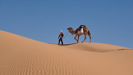 Bedouin leading a dromedary camel (Camelus dromedarius) on the top of a dune in the Sahara Desert, outside of Douz, Tunisia