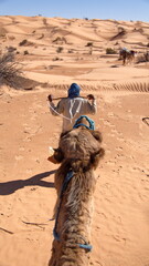 Bedouin leading a dromedary camel (Camelus dromedarius) in the Sahara Desert, outside of Douz,...