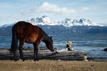 Horse approaching a man who offers him food. Andes mountain range in the background. Ushuaia