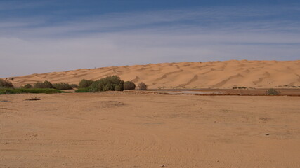 Oasis in the Sahara Desert, outside of Douz, Tunisia