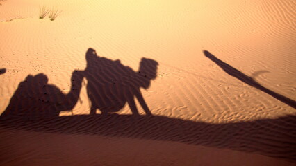 Shadows of camels in a caravan on the sand in the Sahara Desert, outside of Douz, Tunisia