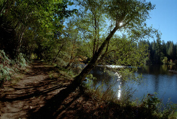 Lake Sylvia path/sun