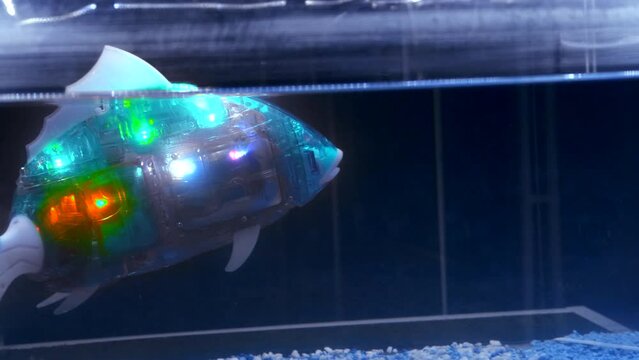 A robot fish in aquarium. Media. Artificial version of robot fish glowing in water. Robot fish with artificial intelligence in aquarium