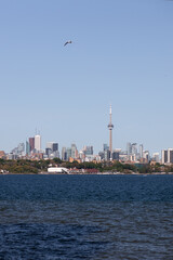 Fototapeta na wymiar View of the city of Toronto from Lake Ontario