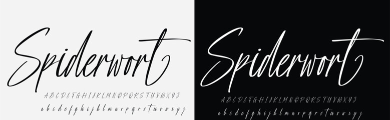 Lettering signature font isolated on grey background. brus style alphabet. Vector logo letters.