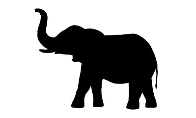 Elephant silhouette with the trunk up isolated on white background. Vector illustration