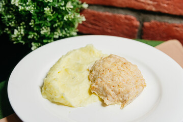 Homemade Mashed Potatoes and Chicken Breast Patty. A plate serving creamy mashed potatoes with a grilled chicken breast, a simple yet classic homemade meal.