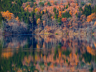 湖　水鏡　リフレクション
