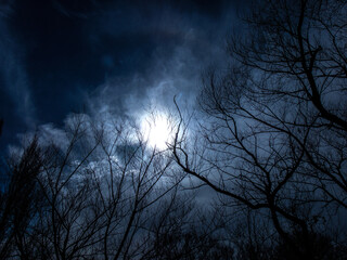 noche en el boque © Juan Manuel