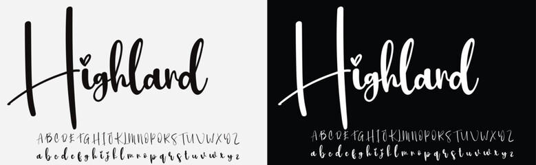 signature Font Calligraphy Logotype Script Brush Font Type Font lettering handwritten