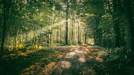 Bornholm,  Denmark - Summer