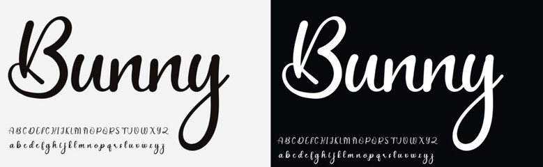 Signature Font Calligraphy Logotype Script Brush Font Type Font lettering handwritten - obrazy, fototapety, plakaty