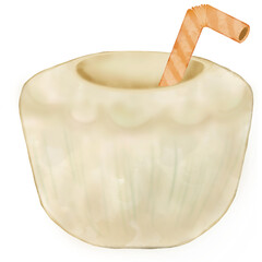 Tropical Coconut Drink, peeled coconut juice,and tropical flowers plumeria,hand drawn style cartoon.