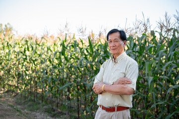 A successful senior Asian farmer stands proudly with his arms crossed in his corn field.