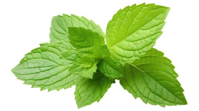Fresh mint leaves isolated on transparent background, Generative ai.