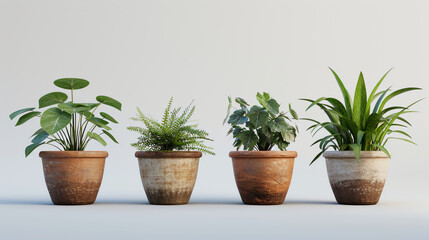 set of plant pot