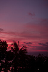 Bright lilac pink sunset against the background of the ocean and palm trees. Beautiful evening on a tropical island. Stylish atmospheric natural background