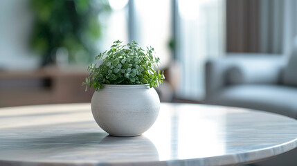 interior scenes containing a white terra cotta plant on a table