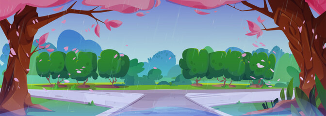 Rainy spring park with sakura trees and pedestrian roads. Vector cartoon illustration of summer scenery with wet lawn and bushes, puddles on sidewalk in urban public garden, cloudy sky, petals in air
