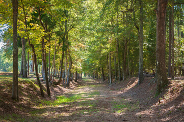 Obraz premium Ninety Six National Historic Site, Old Ninety Six and Star Fort in South Carolina