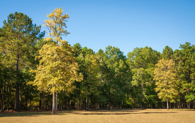 Ninety Six National Historic Site, Old Ninety Six and Star Fort in South Carolina