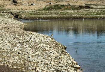 the river in the mountains
