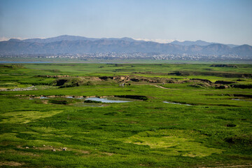 Fototapeta na wymiar Green land and mountains in background