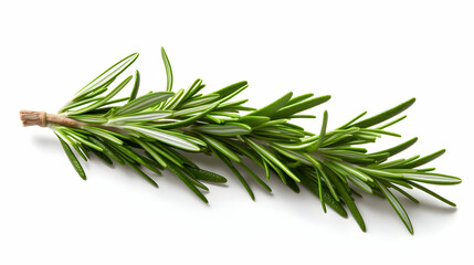 Branch of Rosemary on Clean White Background. Capturing the Essence of Freshness and Flavor. Rosemary, Herb, Aromatherapy, Culinary, White Background, Food Photography, Isolated.