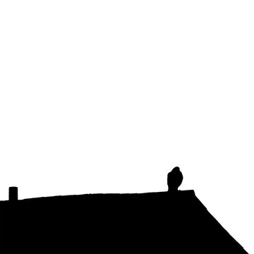Bird on a roof in silhouette