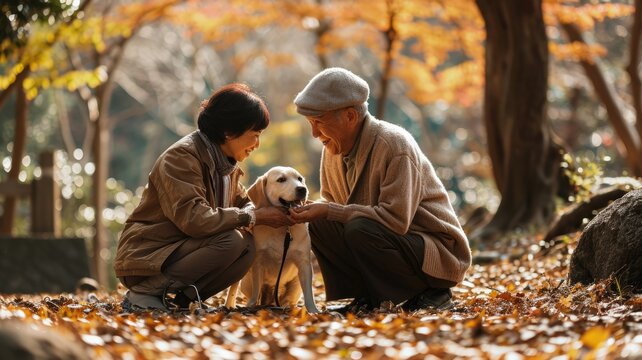 playful dog and its owner in nature outdoor , healthy lifestyle pragma