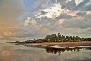 Trees reflection, Bhagal beach, Valsad, Gujarat, India, Asia