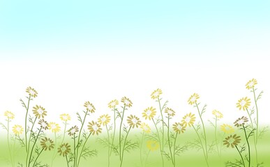春菊畑 フレーム