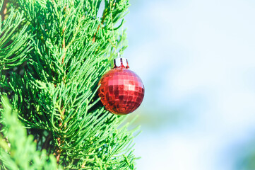 Christmas day or christmas decoration , christmas ball on pine tree