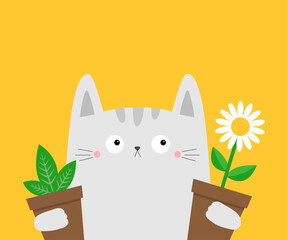 White cat kitten kitty holding daisy chamomile, green leaves plant. Flower pot. Camomile bouquet. Happy Valentines Day. Cute cartoon kawaii funny animal. Love card. Flat design. Yellow background. - obrazy, fototapety, plakaty