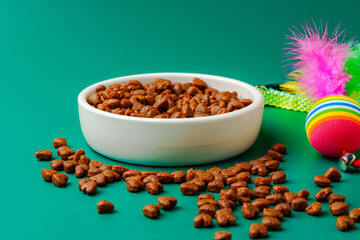 Bowl of dry pet food on green background