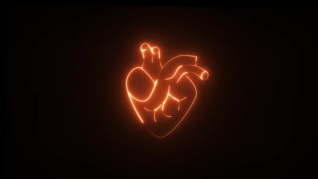 Human heart, a bright neon heart. Blood is ejected from left ventricle and enters into systemic circulation. This part receives deoxygenated blood and ejects oxygenated hlood.