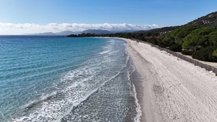 Foto auf Acrylglas Palombaggia Strand, Korsika Palombaggia