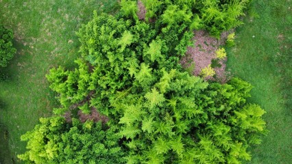 Drone shot of beautiful environment, bird's eye view of clean nature urban area