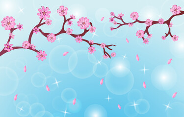 Peach Blossom Background