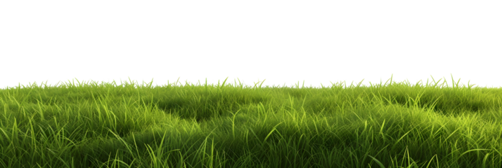 green grass meadow outdoor 3d-illustration