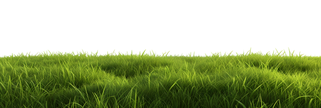 green grass meadow outdoor 3d-illustration - Powered by Adobe